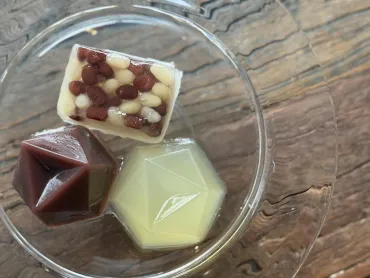 夏限定】叶 匠壽庵の水羊羹と夏の玉露地〜職人技と幻の寒天が奏でる涼菓〜