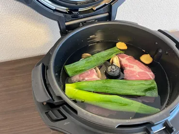 パナソニック オートクッカービストロ NF