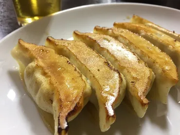 宇都宮餃子ランキング2025！人気店や食べ比べができるおすすめ11店 