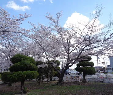 あけの語りびと 