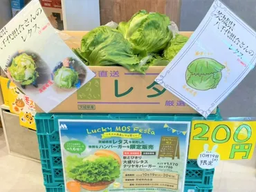 茨城】「Lucky MOS Festa ～モスの産直レタス祭り～」を開催 ...