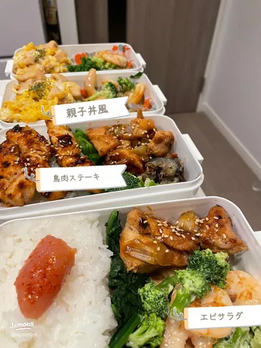 簡単で美味しい！まるごと冷凍弁当レシピ