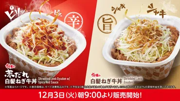 白髪ねぎが主役！すき家の新メニュー「赤だれ白髪ねぎ牛丼 ...