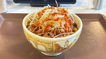 すき家】人気トッピング゛白髪ねぎ゛使用！赤い旨辛の「赤だれ白髪 ...