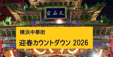 2025年12月31日(水) 迎春カウントダウン 2026 @ 山下町公園 ...