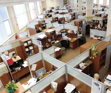 人はアリに学ぶと、理想的な社会をつくれる！？ 