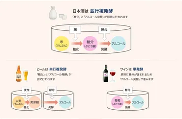 日本酒の世界へようこそ！日本酒の基礎知識から、多様な味わい、未来への挑戦まで？日本酒の奥深い世界：並行複発酵、温度管理、そして多様な味わい