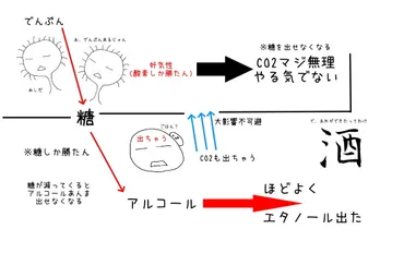 日本酒の並行複発酵とは【醗酵の仕組み】 