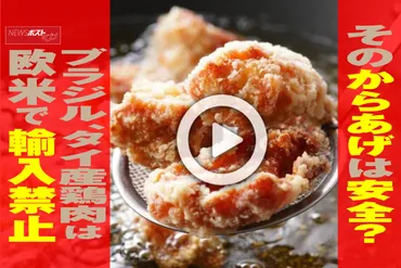 動画】そのからあげは安全？ ブラジル、タイ産鶏肉は欧米で輸入 ...