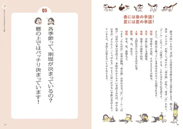 夏井いつきの俳句ことはじめ俳句をはじめる前に聞きたい40のこと ...