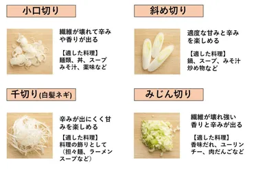 保存版】料理別ネギの切り方！基本の切り方と上手に切るコツを ...