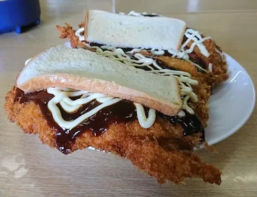 チャンポンハウスたつや】宮崎県新富町のデカ盛り・はみ出し ...