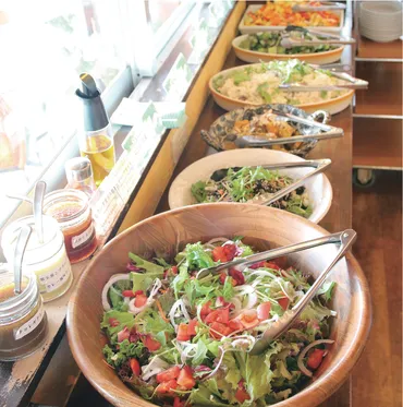 サラダバーのあるお店へドライブランチ【おすすめ6店 ...