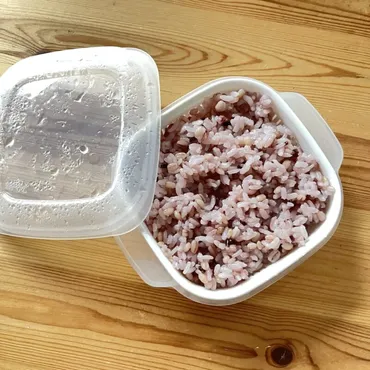 100均ダイソーやセリア、SHEINの冷凍ご飯保存容器【ふっくら ...