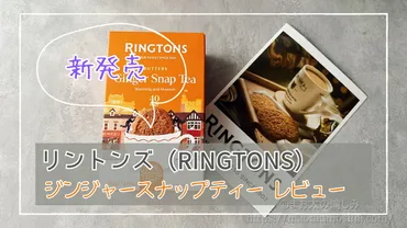 新発売】リントンズ ジンジャースナップティー：英国伝統紅茶の ...