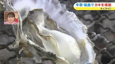 牛窓前島のカキ小屋でカキを堪能！水揚げしてすぐ食べられる ...