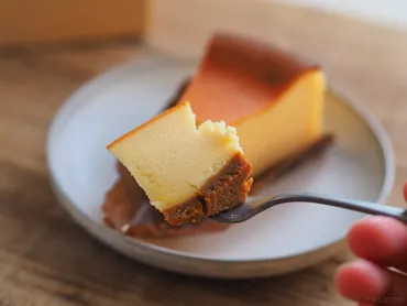スターバックスのニューヨークチーズケーキはどんなケーキ？カロリーや味わい、ペアリングまで徹底解説！スタバの定番スイーツ「ニューヨークチーズケーキ」の魅力を徹底解剖！
