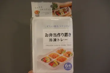 ダイソー購入品】お弁当作り置き冷凍トレーで、楽チン弁当 ...