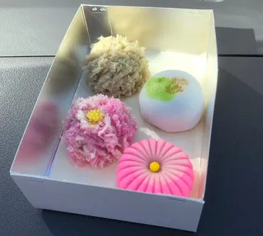 京都の老舗和菓子『嘯月（しょうげつ）』の魅力を徹底解説！予約必須の絶品和菓子とは？完全予約制！『嘯月』の和菓子、その味と入手方法