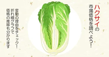白菜価格高騰の真相とは？変動要因と今後の見通しを徹底解説！2024年 最新白菜市場レポート：価格高騰の背景と今後の価格予測