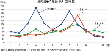 はくさいの需給動向