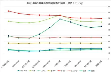 キャベツと白菜が平年比1割安で推移【野菜価格の全国調査 2月14 ...