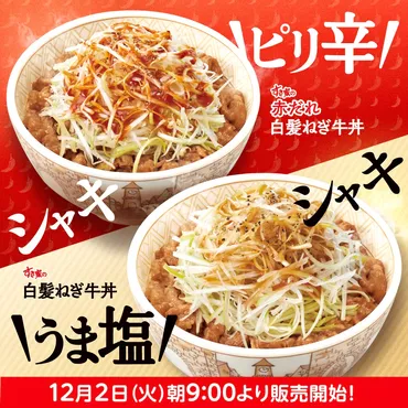 すき家から「白髪ねぎ牛丼」「赤だれ白髪ねぎ牛丼」が新登場 ...