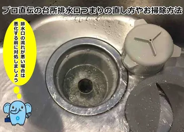 プロ直伝の台所排水口つまりの直し方やお掃除方法