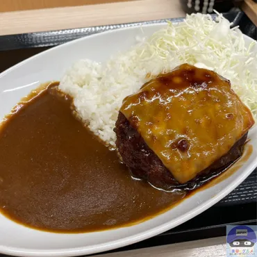 かつや】デミチーズハンバーグカツカレー【期間限定メニュー ...