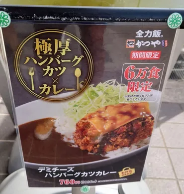 かつや】デミチーズハンバーグカツカレーが今日から゛6万食限定 ...