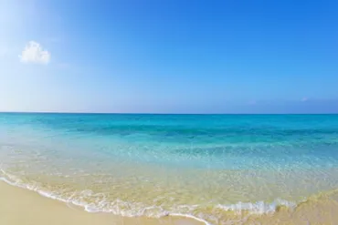 全店舗100％バイオマス由来、カネカ生分解性バイオポリマー ...