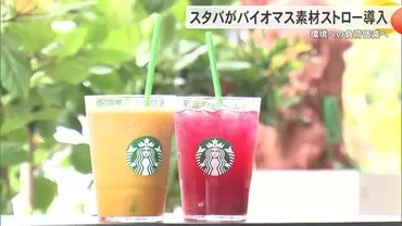 環境負荷低減へ沖縄で先行導入 スターバックス新ストロー導入 ...