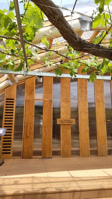 金沢フレンチレストラン「Les Tonnelles（レ・トネル）」の軌跡：砂山利治シェフと美食への探求？ミシュラン二つ星獲得の金沢フレンチレストランと、砂山利治シェフの挑戦