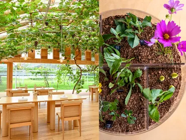 祝】北陸ミシュラン二つ星&グリーンスター獲得！レストラン「レ ...