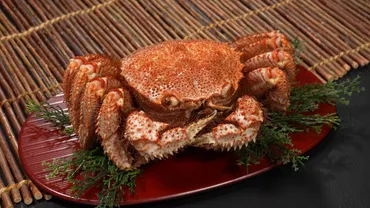 北海道産 特大毛ガニ 約800g【丸高水産】 