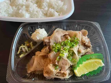 ほっともっと】初夏の新作メニューの違いを実食レポ！旨塩豚 ...