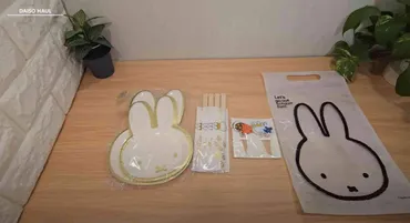 ダイソー×ミッフィー】可愛すぎて使えない！割りばし・ピック入り「パーティセット」お弁当やピクニックにも◎ 