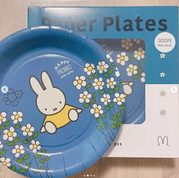 ダイソー×ミッフィー「全種類購入した」「大満足のかわいさ」超話題のピクニックアイテム4選