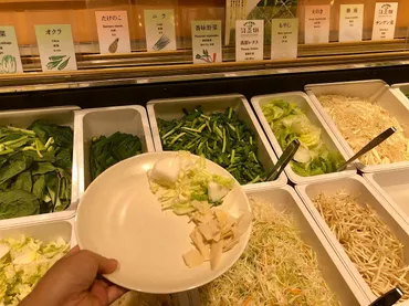 しゃぶ葉」食べ放題最安メニューを徹底レビュー! ゛時間無制限゛&豊富なサイドメニューで大満足だった!!