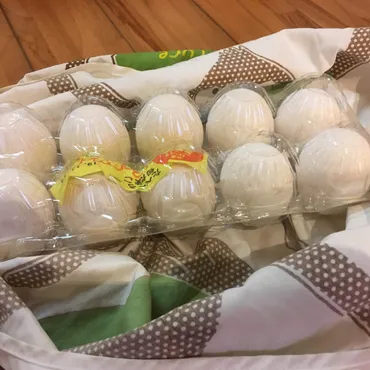 買い物の知恵】買った商品の「袋詰め」の正解はコレ！「卵パックは