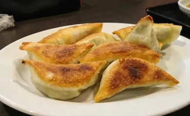 高鍋町【餃子の馬渡】宮崎県民なら1度は食べて欲しい絶品グルメですね