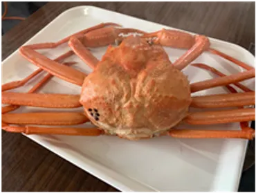 富山湾の紅ズワイガニ！冬の味覚を堪能できる魅力とは？富山湾の冬の味覚！紅ズワイガニの漁獲から食べ方まで