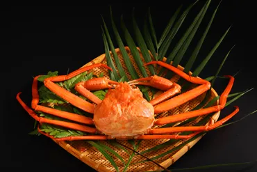 着日指定不可】富山県新湊漁港から直送 高志の紅ガニ（M寸）(M寸): 北陸エリア│DISCOVER WEST mall  【JR西日本公式】│WESTERポイント利用商品