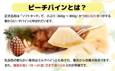 2026年発送】リピータ続出！西表パイン園の蜜入り ピーチパイン 2kgセット 