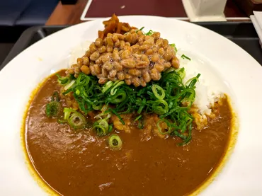 松屋の店舗限定「ねぎ納豆カレー」を頼んだら、いわれのない罪悪感を覚え、それゆえに罪深い味だった… 