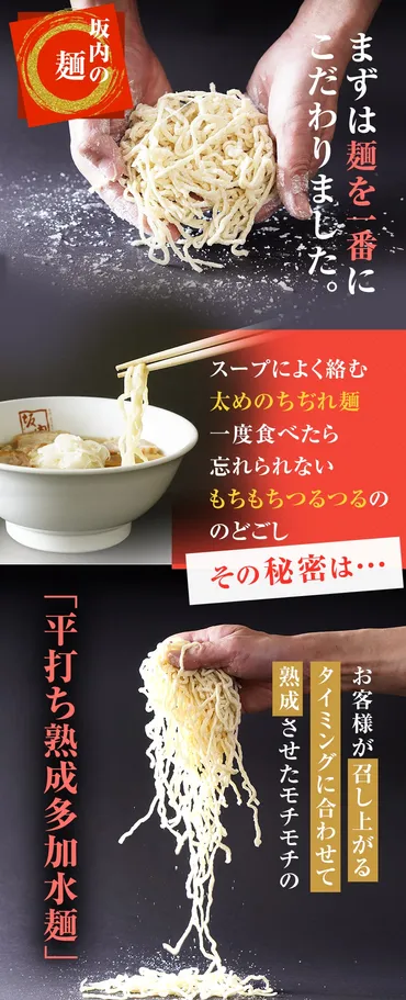 坂内公式】喜多方ラーメン坂内☆焼豚ブロック付き4食セット