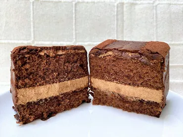 濃厚な甘さに感動!シャトレーゼの「チョコレートケーキ」味もコスパも素晴らしすぎる!
