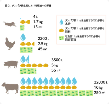 代替タンパク源としての昆虫利用