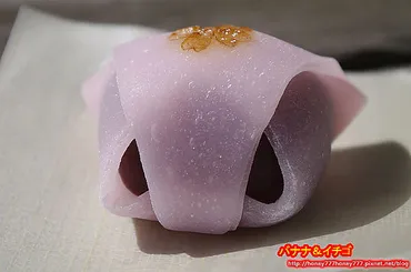 京菓子」–京都的寶藏~川端道喜! – 香蕉草莓的雪國生活