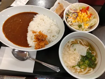 和風カレー。なか卯